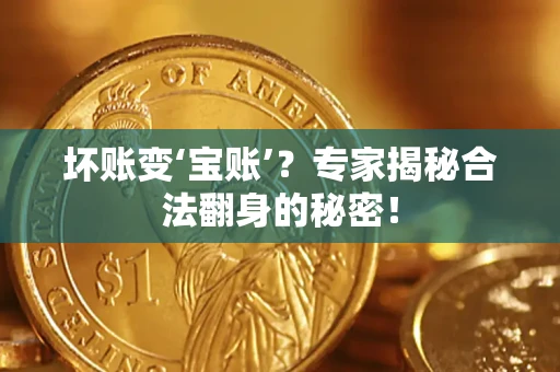 济南坏账变‘宝账’？专家揭秘合法翻身的秘密！