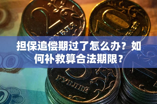 济南担保追偿期过了怎么办？如何补救算合法期限？