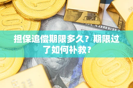 济南担保追偿期限多久？期限过了如何补救？