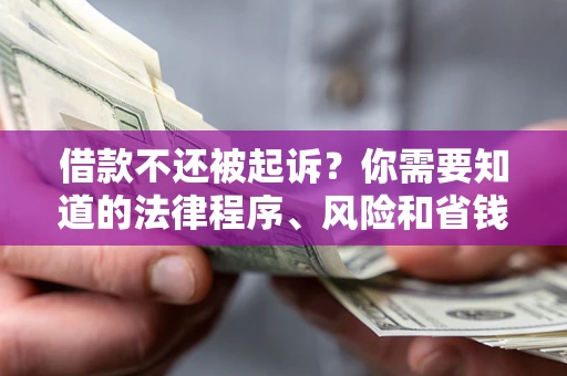 济南借款不还被起诉？你需要知道的法律程序、风险和省钱技巧